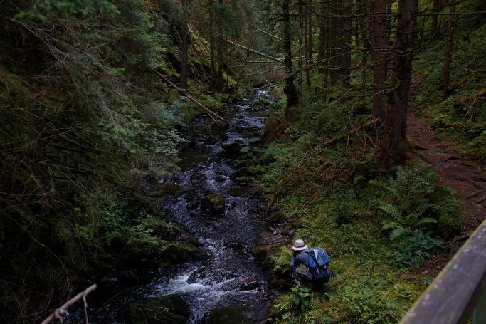 Ein Wanderer beugt sich über einen kleinen Bach, umgeben von üppigem Wald.